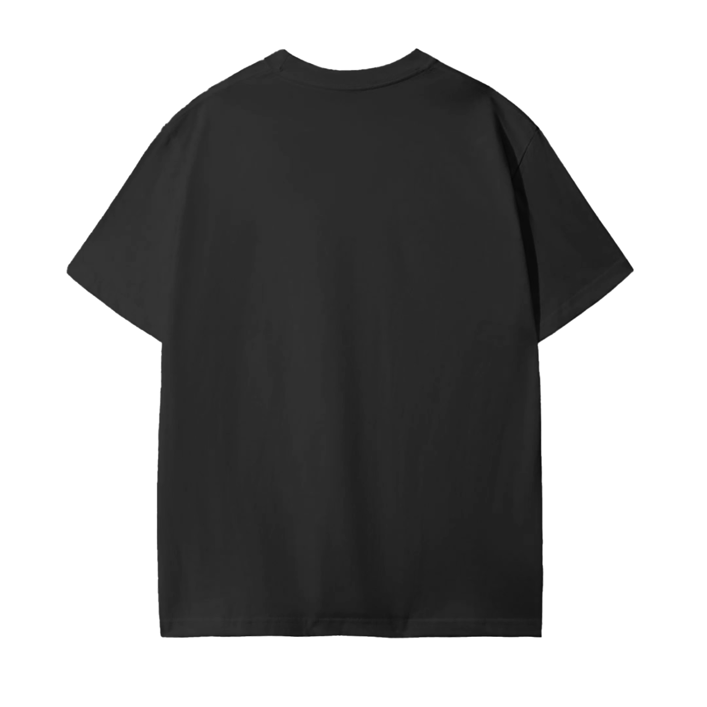 ACS RFL '25 Tshirt | DVHS